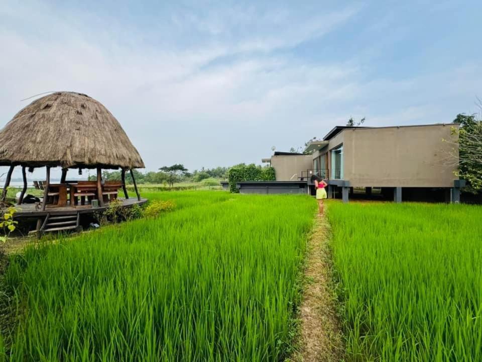 Blue Wild - Yala - Plastic Free & Sustainable Tissamaharama Eksteriør billede
