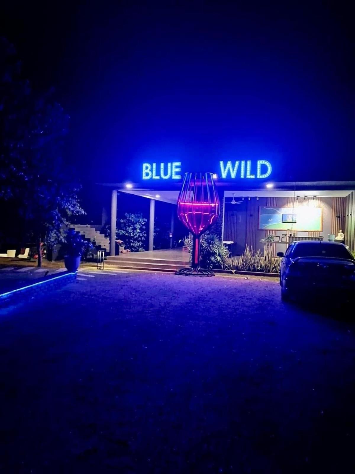 Blue Wild - Yala - Plastic Free & Sustainable Tissamaharama Eksteriør billede